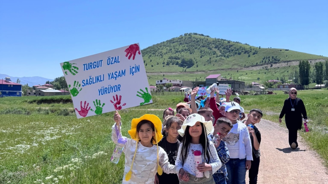 DOĞA YÜRÜYÜŞÜ 